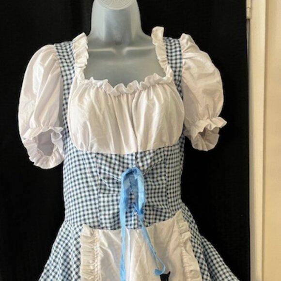 Wizard of Oz ~ Dorothy Halloween Costume ~ Cute - Picture 1 of 9